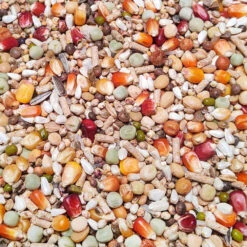 Vanrobaeys Nr.58 Zucht Pro - Revolution 20kg