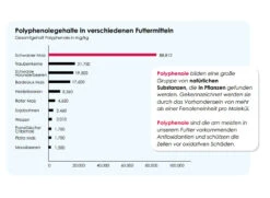 Versele Winter Plus I.C.⁺ 20kg 8 Versele Winter Plus I.C.⁺ 20kg -Haustierprodukte antioxidantien 18