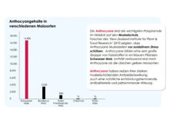 Versele Master R Exclusiv 20kg -Haustierprodukte antioxidantien 22