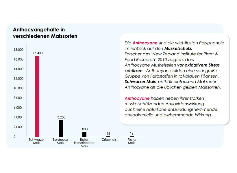 Versele Start Plus I.C.⁺ 20kg 6 Versele Start Plus I.C.⁺ 20kg – Bild 4