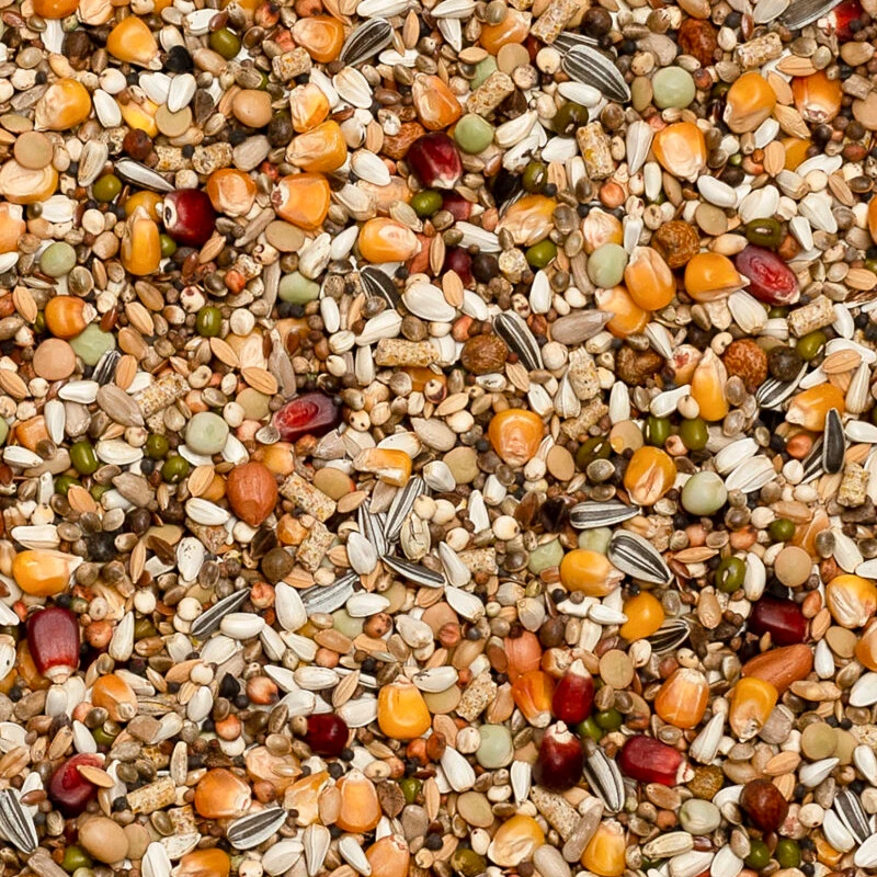 Beyers Premium Jelle Jellema Power 20kg 3 Beyers Premium Jelle Jellema Power 20kg