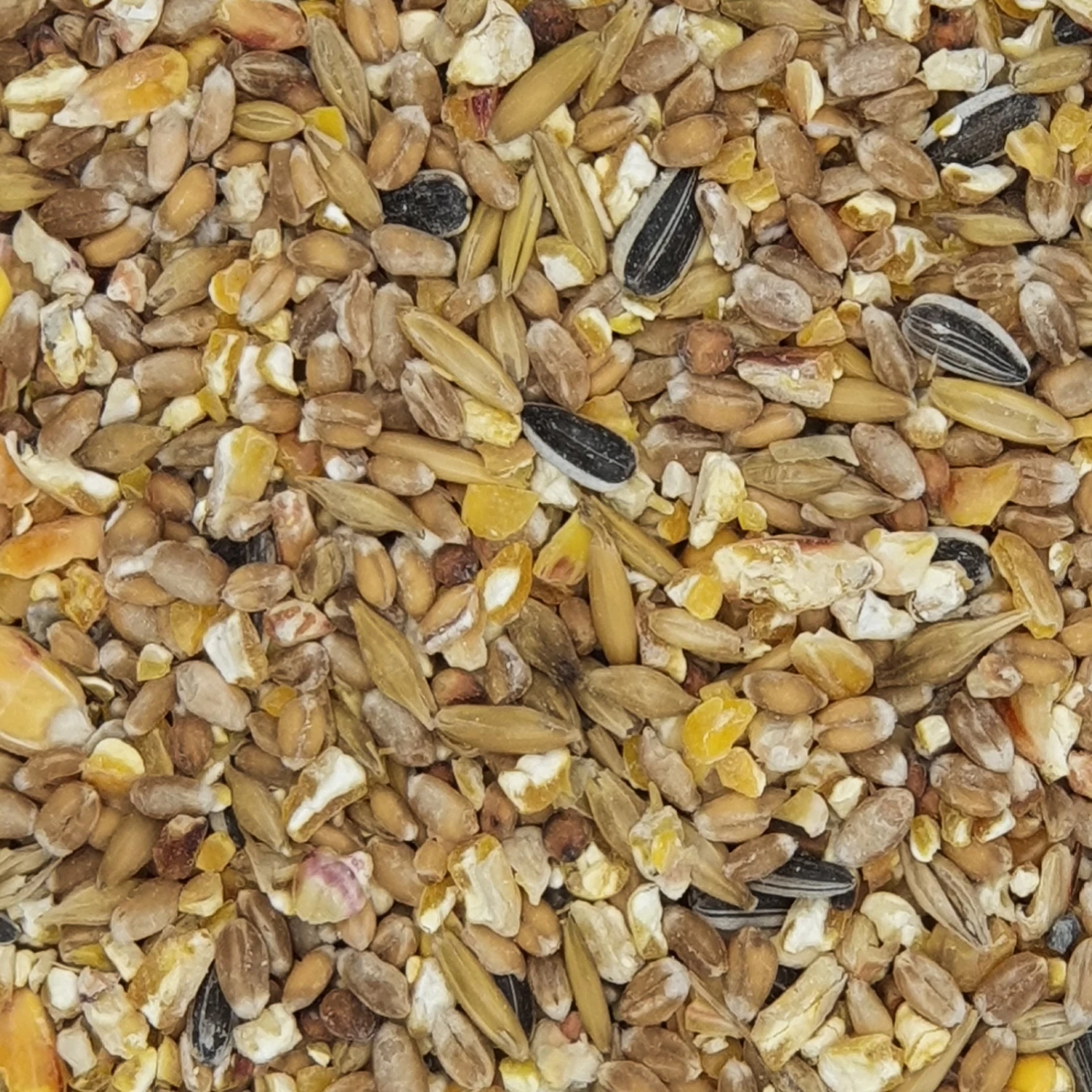 Gladen Geflügelkörnerfutter (GVO Frei) 25kg 3 Gladen Geflügelkörnerfutter (GVO Frei) 25kg