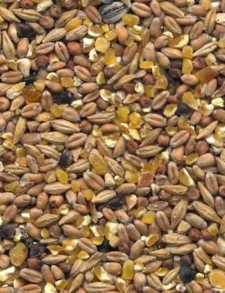 Havens Scharrel-Graan - Körnerfutter 25kg 7 Havens Scharrel-Graan - Körnerfutter 25kg -Haustierprodukte graanmengelingenscharrelgraan