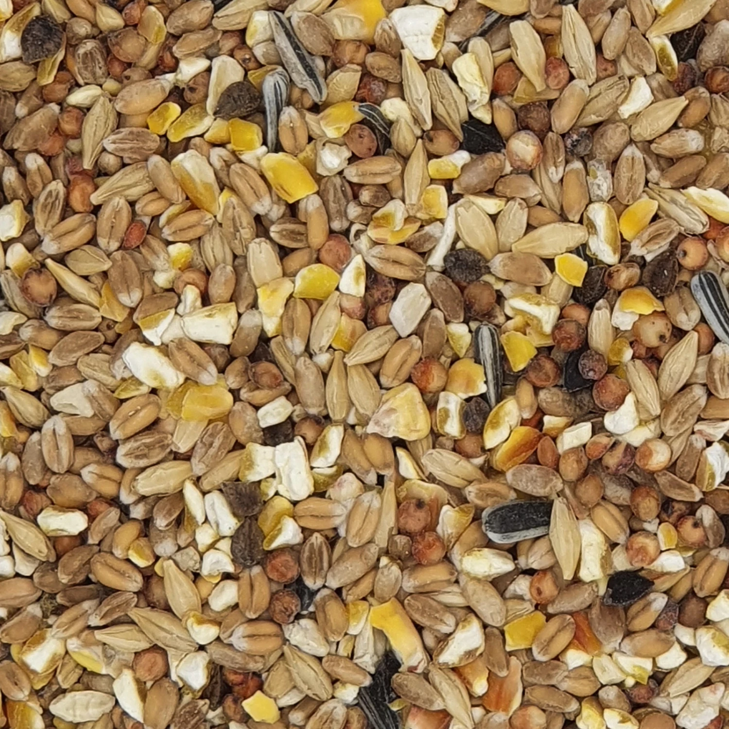 Havens Scharrel-Graan - Körnerfutter 25kg 3 Havens Scharrel-Graan - Körnerfutter 25kg