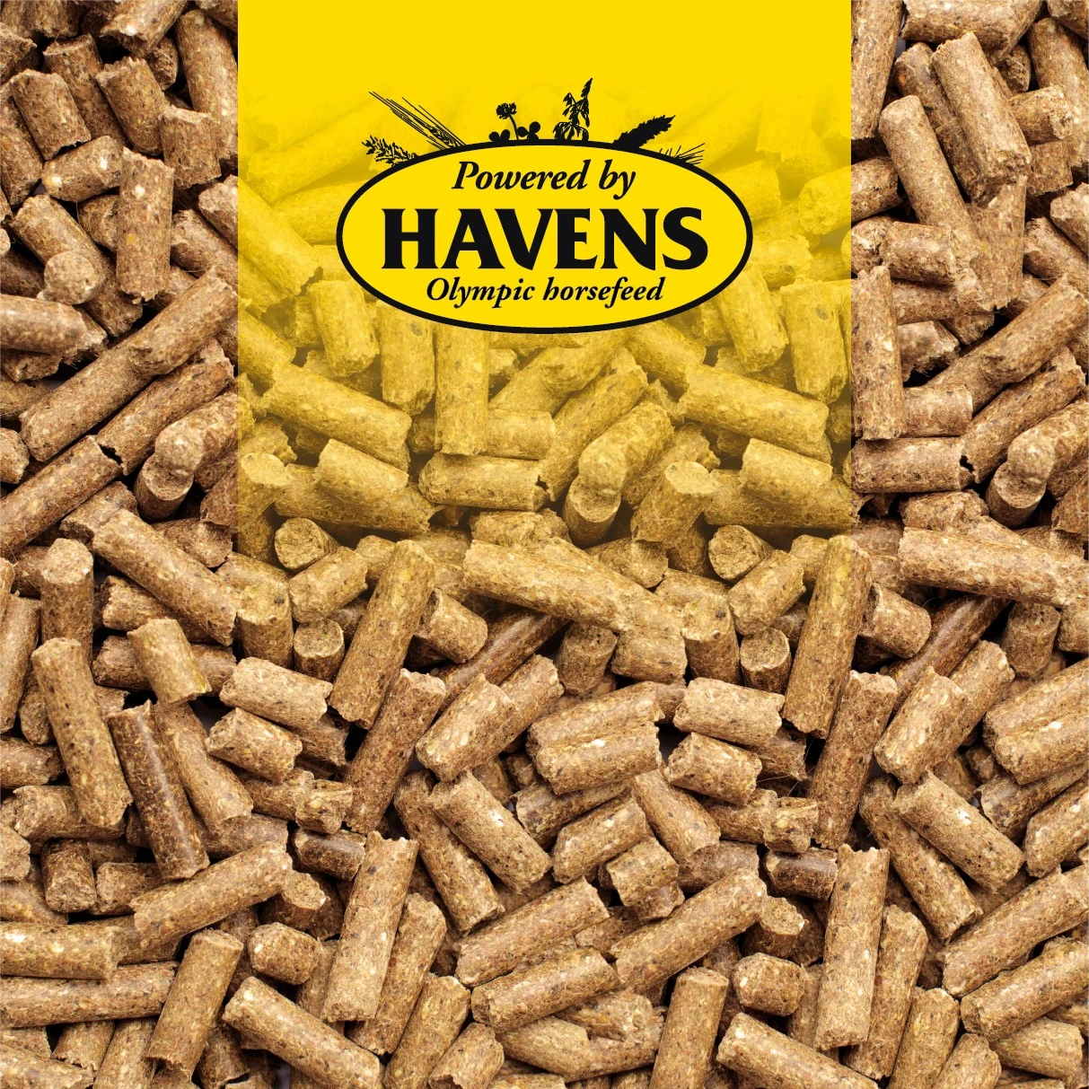 Havens Basis-Sportbrok 25kg 4 Havens Basis-Sportbrok 25kg – Bild 2