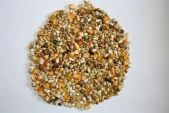 Versele Junior Plus I.C.⁺ 20kg