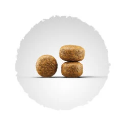 Josera Balance 2er-Pack 30kg -Haustierprodukte kroketten balance2