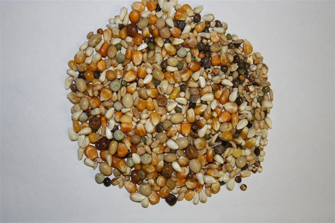 Beyers Premium Jan Keen Super Light 20Kg 3 Beyers Premium Jan Keen Super Light 20Kg