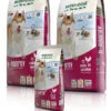 Bewi Dog H-Energy 25kg -Haustierprodukte rs2811 bd h energy gruppe 130903 mg