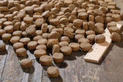 Bewi Dog Basic 12,5kg -Haustierprodukte rs2904 basic kroketten lineal img 1775b klein