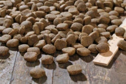 Bewi Dog Sport 25kg -Haustierprodukte rs2909 sport kroketten lineal img 1786b klein