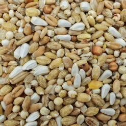 Spinne Leichte Kost 25kg