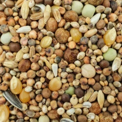 Spinne Stipsky Mischung - Tümmler 25kg