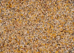 Beyers 6 Energy Soja Witwer Ost 25Kg